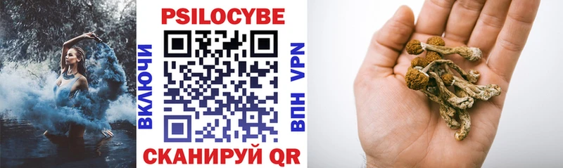 Псилоцибиновые грибы Psilocybine cubensis  Энем 